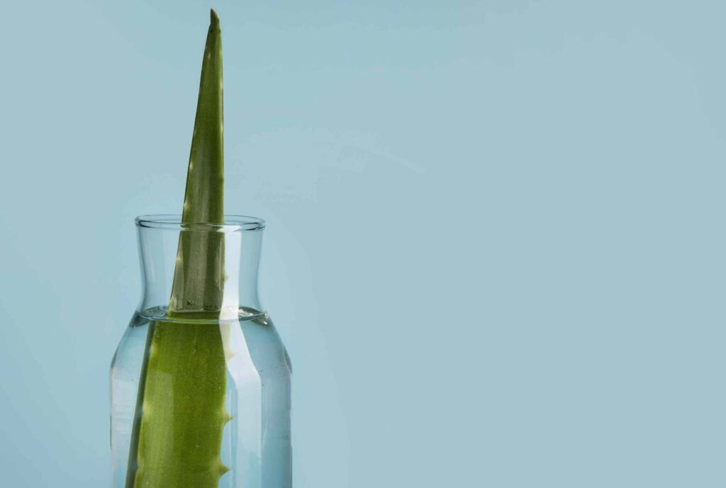 Herbolario Bio Cosmética Natural
